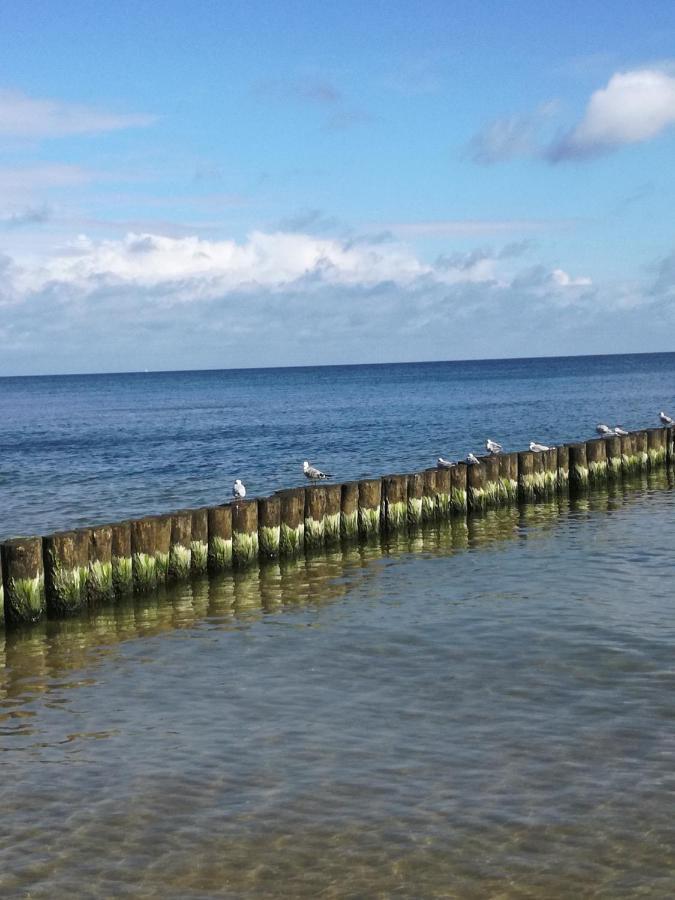 Ferienbungalow Ancora In Koserow المظهر الخارجي الصورة